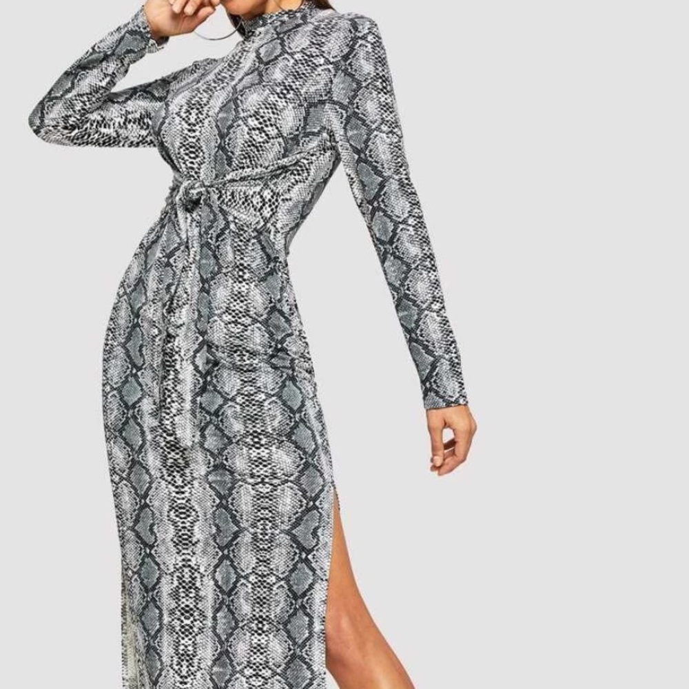 Snake Skin Grey Dress